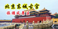 阴茎插进小穴视频过程中国北京-东城古宫旅游风景区